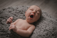 Micah’s newborn session